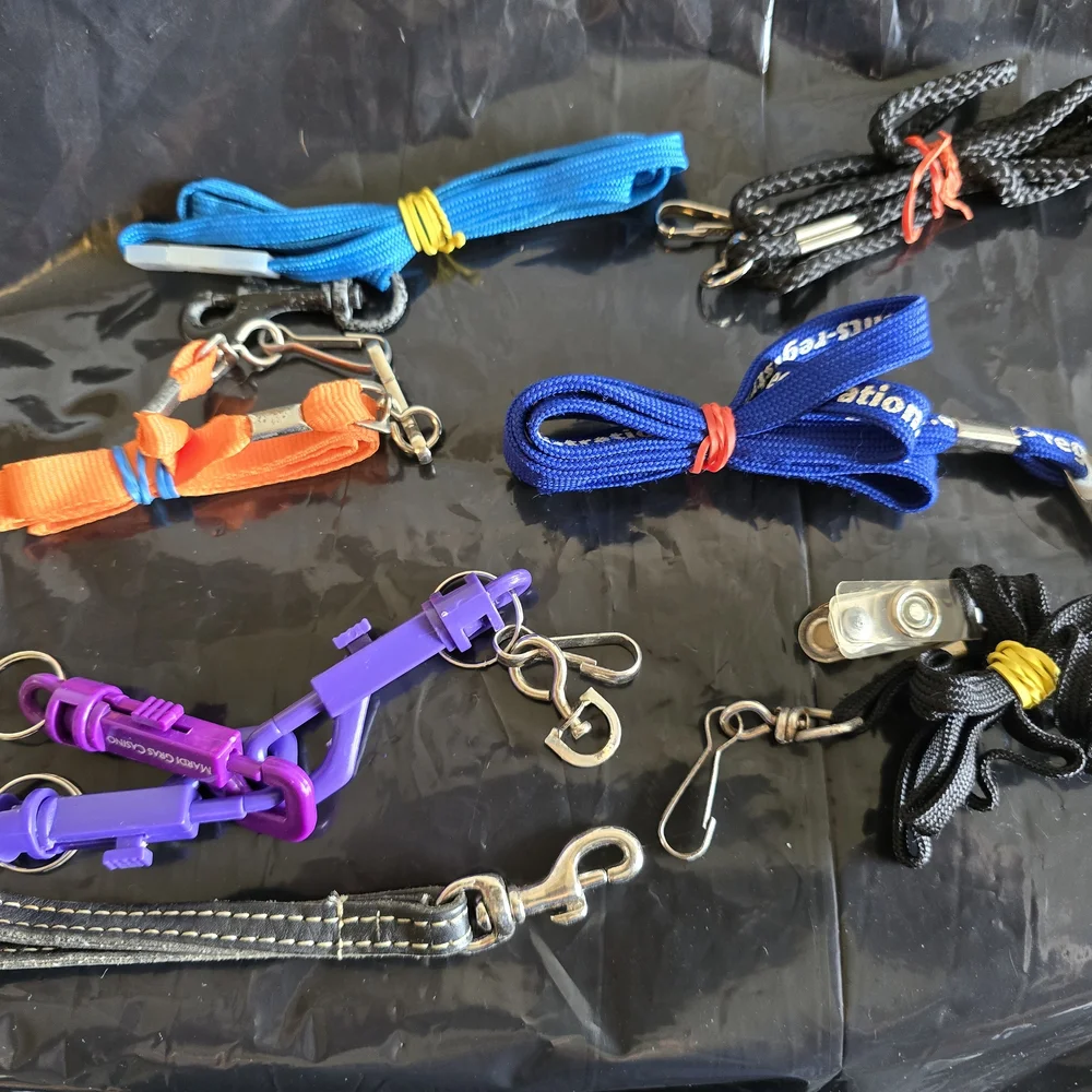 Assorted Lanyards and Clips